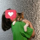고양이 미용 캣어스(cat : us) | [캣어스] 고양이 무마취 미용 코리안숏헤어 &#39;가을이&#39; 후기