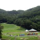 수종목장 이미지