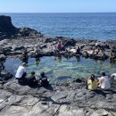 위미초등학교 이미지