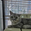 유앤동물병원 이미지