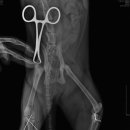 Dr.윤24시동물병원 이미지