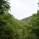 연곡 주유소 이미지