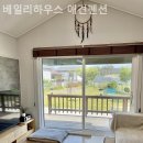 베일리하우스애견펜션 이미지