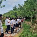 광양다압중학교 이미지