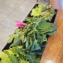 연희농장 | 일산호수공원맛집 연희밥상 우렁쌈밥전문점 후기