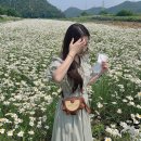 명보장여관 이미지