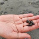 청남대 펜션 이미지