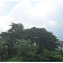 금바우골 이미지