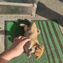 사창리공영주차장2 이미지