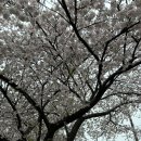 도두 관광호텔 이미지