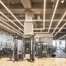 RE:FIT(리핏) 이미지