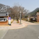 명품옻골1616협동조합 | 대구 옺골마을-도동측백나무숲 25년 03월 25일