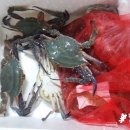 황산매일시장 이미지