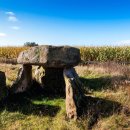 석기농장 이미지