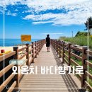 멀리가는 향기 | 강원도 속초 여행 코스 17 외옹치 바다향기로 해수욕장 근처 해안 산책로 둘레길 후기