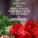 화요일