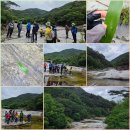 무릉공원 주차장 이미지