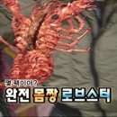 제주마농 이미지