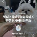 베리하우스 켄넬 이미지