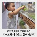 마산회원구 ⓓ-22 | 창원마산 22개월 아기 키즈카페 리뉴얼된 히어로플레이파크