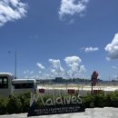 하늘 빛 꿈 | [방콕-몰디브 신혼여행]꿈만 같았던 신혼여행 후기/디구파루/ 디구파루 몰디브