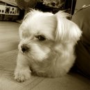 상월한의원 이미지