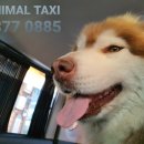 지에스25 인천부평현대 이미지