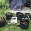 애들아범펜션 이미지