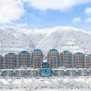 대명아이엔티 이미지