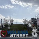 한마음목장 | 강릉 중앙시장 월화거리 카페 추천 에펠루아 월화점