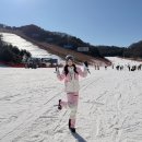 프로렌탈팀 | 홍천 비발디파크 숏스키 강습후기, 렌탈샵 아지트에서 배웠어요