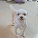미아리고개 예술극장 | 미아리고개. 미아리예술극장
