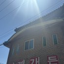 문경중앙시장 | [문경여행.zip ①] 엄마의 박서진 성지순례 🤭 문경새재·찻사발축제·닻별거리