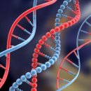 인디고 DNA 탄생 임프린트 이미지