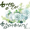 대덕읍사무소 이미지