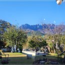 원암축산 | 속초 양양 백숙맛집 고성 델피노 인근 능이백숙 창바위식당