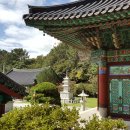 가람조경 - 서산시 남원3길 14 | 가람조경