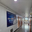청계부부한의원 | 가족의 특수복신 개명 실제 성공사례[개명잘하는곳] 국내 유명작명소, 대간작명철학연구원 개명 성공 후기