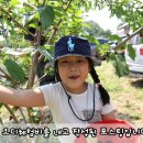 샘터농원 이미지