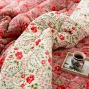 시온이불 이미지