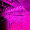 남부농장 이미지