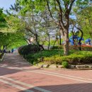 신길5동 주민센터 내 이미지