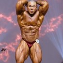 던전피트니스 이미지