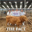 고 수정사 이미지