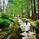 대명관광 | [소노벨 양평 대명리조트]내돈내산, 삼남매와 숙소 5일.수영장 맛집투어&두물머리 세미원(가볼만한곳...