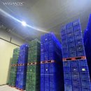 (주)와이즈팜 티스토리