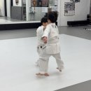 세종유도관 이미지