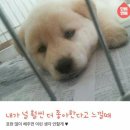 휴휴가 이미지