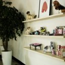 오마이독(oh my dog) | 오마이독(Oh my dog) 애견카페,호텔 인테리어