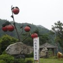 솔밭목장 이미지